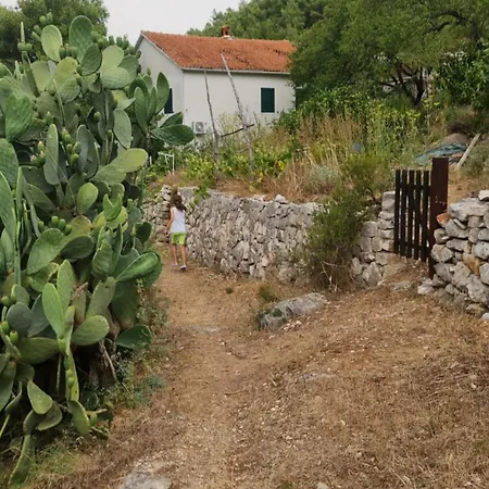 アパート Hvar - With Terrace A2 *